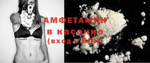 хмурый Алзамай
