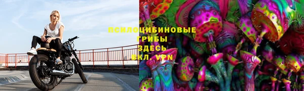 мяу мяу мука Алексеевка