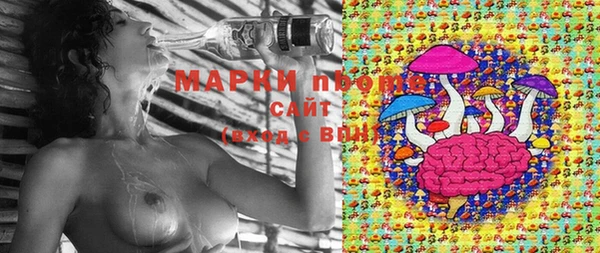 соль ск Алексин