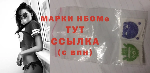 хмурый Алзамай