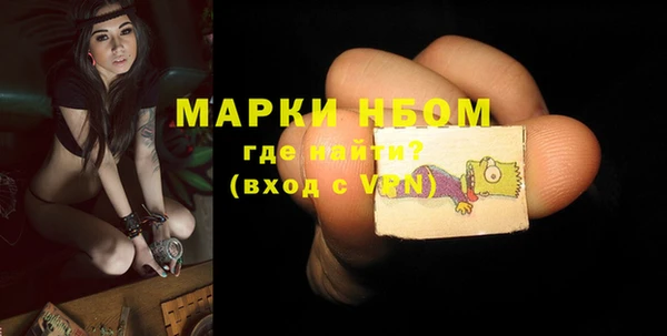хмурый Алзамай