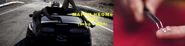 хмурый Алзамай